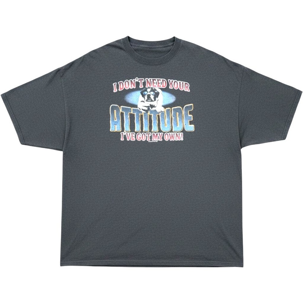 Vintage 2004 Big Dogs Mens 4X Medium Gray T-Shirt Attitude Saint Bernard Y2K